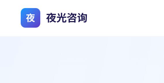 夜光咨询